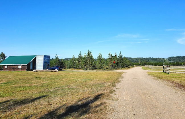 Woodhouse Cottages and Ranch - Foto 15