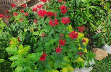 The BrickHouse on Grace - Foto 16