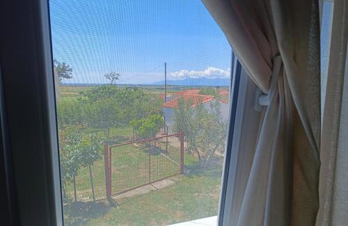 Grandmas Cottage - Photo 48