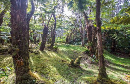 Hale Mauna Loa Upper Level with shared Hot Tub - Foto 15