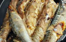 Vila Maslinica - Foto 58