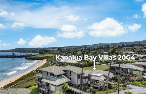 Kapalua Bay Villas 20G4 · KBV 20G4 Updated OceanFront for Whale - Foto 42