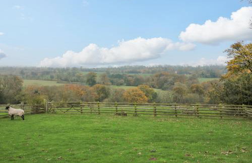 Shepherds Cabin at Titterstone - Foto 16