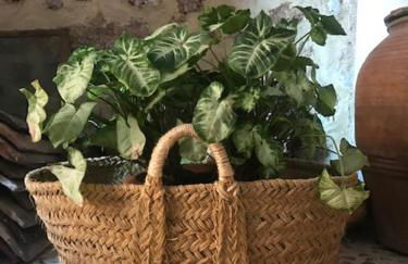 Casa Rural La Antigua - Foto 7