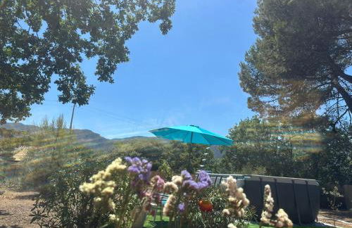 La maison aux oiseaux - Luberon - Foto 25