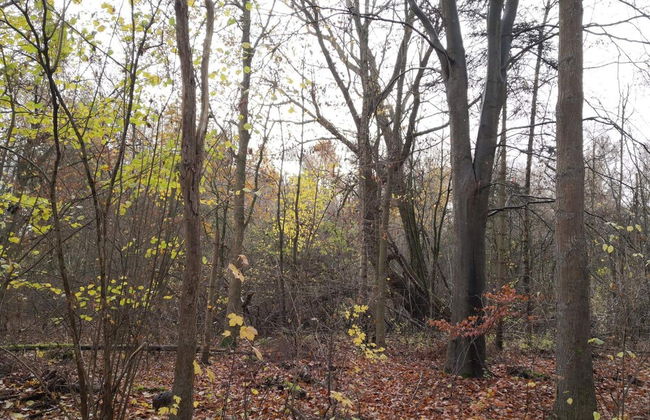 6 Person Holiday Home in Taastrup - Photo 14