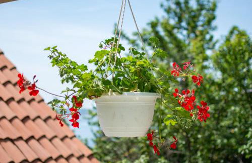 BellaStoria Apartment - Foto 32