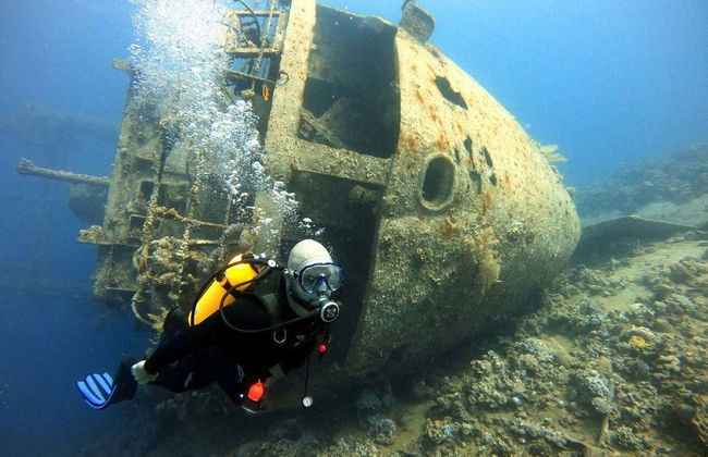 Plongée en mer rouge - Photo 7