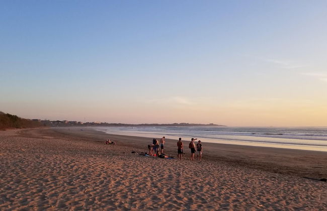 Palm Beach Inn - Foto 26