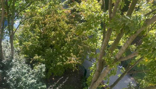 Azal france - Foto 3