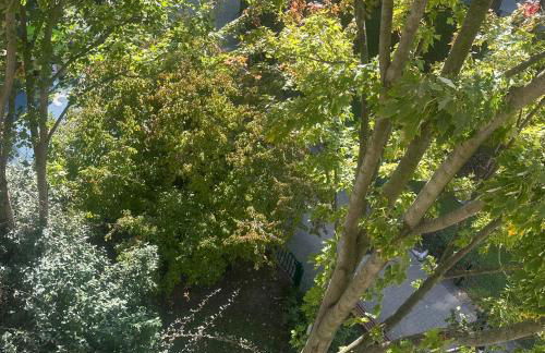 Azal france - Foto 3