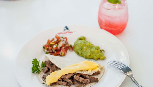 Whale Watching Catamaran Trip - Foto 4