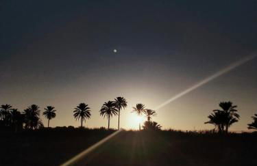 Palm House - Foto 29