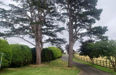 Loughview Retreat in the Mournes - Photo 30