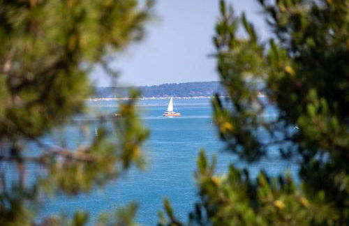 Pyla Plage - appartement vue mer - Perle(o) - Foto 14