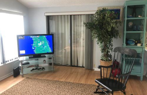 Florida Condos on Lake Tarpon - Foto 6