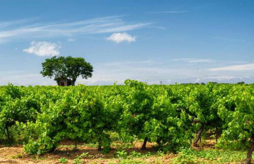 Villa Picpoul by Villa Plus - Foto 36