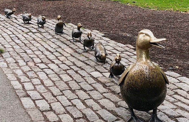 Free tour por Boston - Foto 7