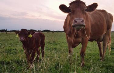 Cripps Farm Holiday Lets - Foto 11