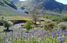 West Cumbria static caravan - Foto 46