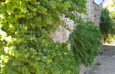 Dubravka 3 - Foto 22