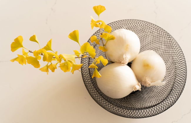 Luxury house with 3 bedrooms and 1 office - Photo 44