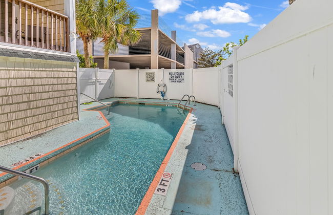 Island palms - Foto 26