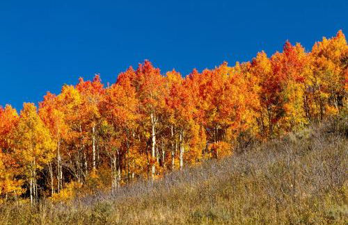 Mountainside Cozy Walk to Gondola Hot Tub Condo - Foto 32