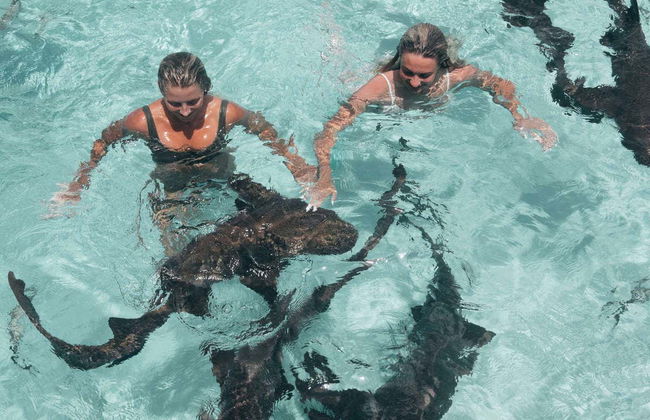 Excursión a la Isla de los Cerdos en avioneta - Foto 4
