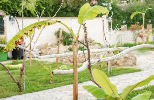 Harmony Corfu Apartments & Studios - Foto 14