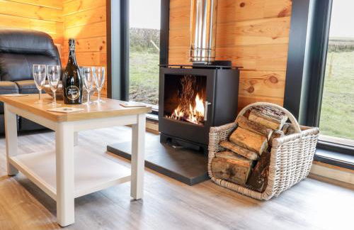 Bryn Eiddon Log Cabin - Photo 11