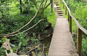 ländlich am Bach, Doppelbett und 2 Einzel - Foto 13