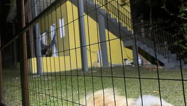 Flat Boa Vista Beach - Foto 5, pet friendly