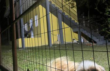 Flat Boa Vista Beach - Foto 5