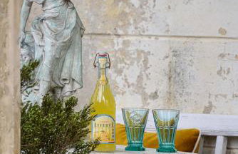 Pałac Rząsiny - Foto 22