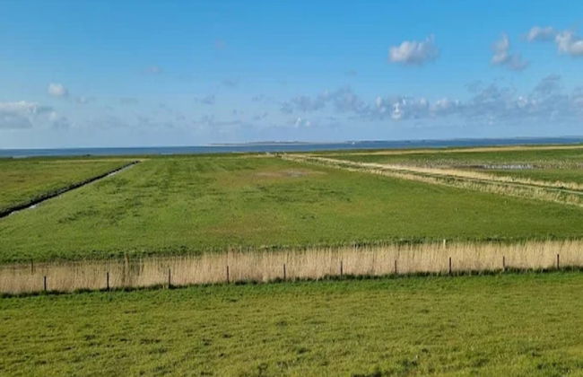 Ferienwohnung Kapitanskajute in Dornumersiel - Foto 24