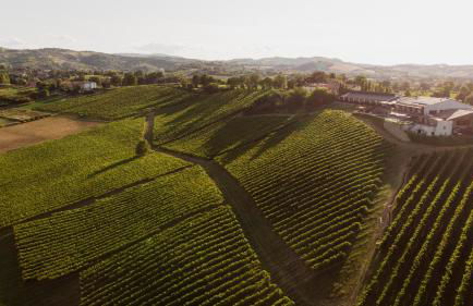 Agriturismo Opera 02 - Photo 6