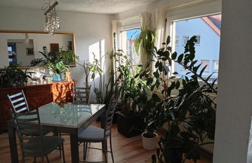 Walldürn Zentrum - Foto 2