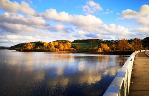 FeWo Zur Wasserburg mit Seeblick, großem Garten & Spielplatz an der Talsperre Pirk - Foto 43