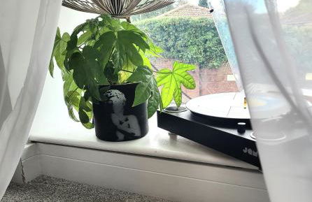 Justaura Retreat - Foto 12