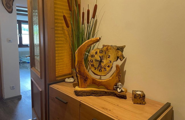 Salzburg Lungau Nature Apartment - Photo 24