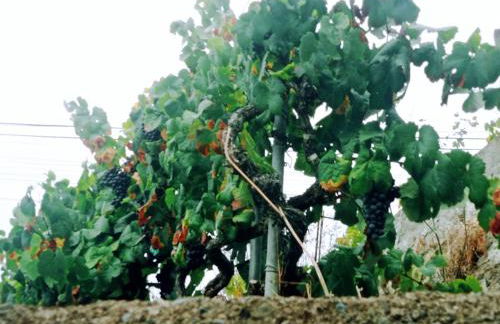 Live la Victoria Carril - Casa acogedora y familiar con terraza completa - Foto 61