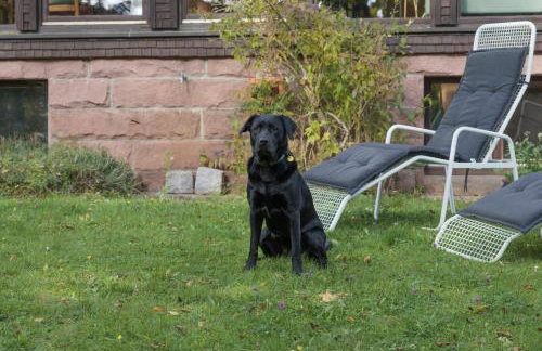 Altes Forsthaus Kniebis | Ski | Nachtloipe | eingezäunt - Foto 25