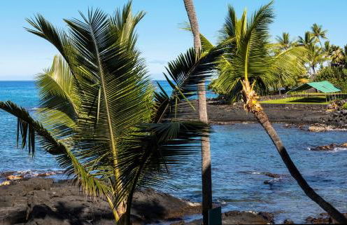 Kona Bali Kai #219 condo - Foto 28