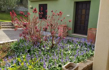 Apartmani Tara Medulin - Foto 26