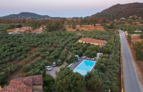 Armandiola - Foto 54