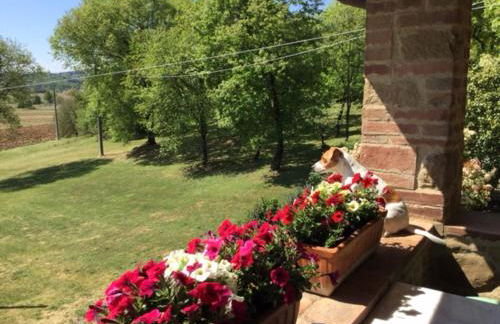 La Berchiera - Foto 22