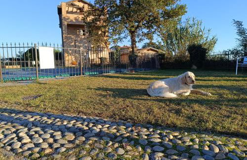 Tormalina rosa presso La Bordona - Foto 19