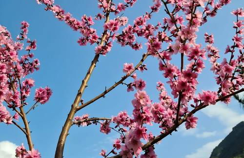 Les Terrasses du Maquis - Foto 7