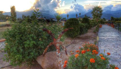 Kalloni Beach Villas - Photo 4, Garden